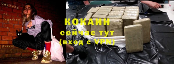 стафф Аркадак