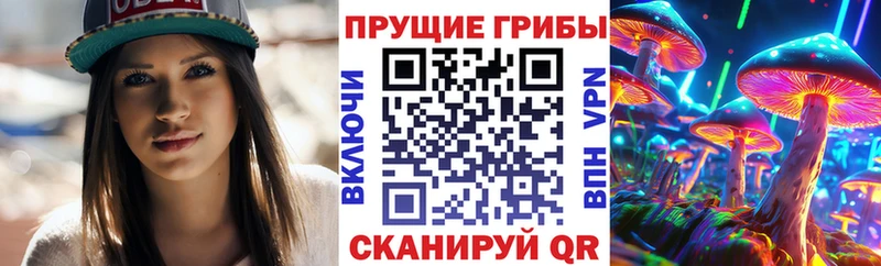 Псилоцибиновые грибы Psilocybe  Куйбышев 