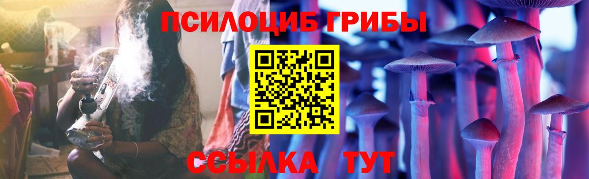 Куйбышев  Галлюциногенные грибы Psilocybe  Вход с VPN 